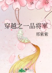穿越之一品將軍