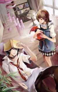 王妃戰略